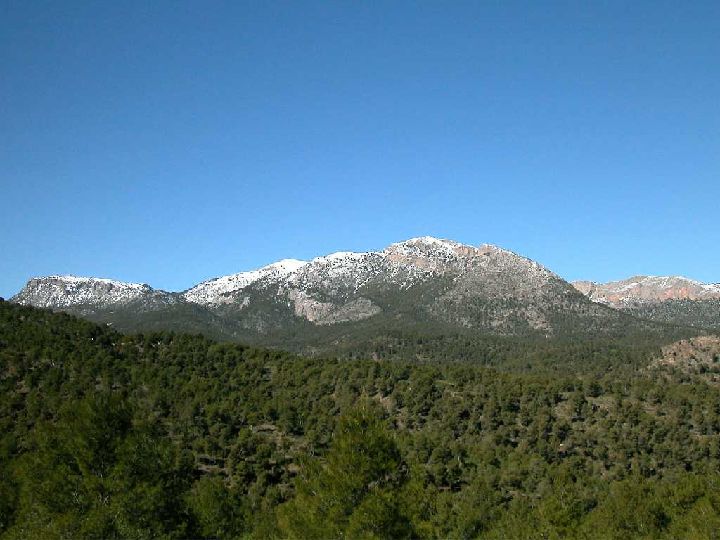 Resultado de imagen de sierra espuña