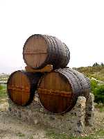 Buen vino