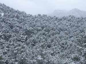 Ricote-La Sierra nevada