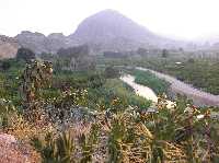 Valle de Ricote desde Villanueva