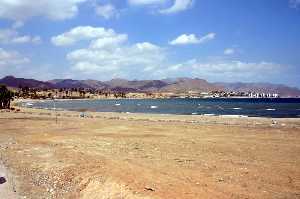 Playa de El Alamillo (Mazarrn) 