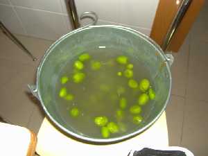 Lavado de las olivas o endulzado