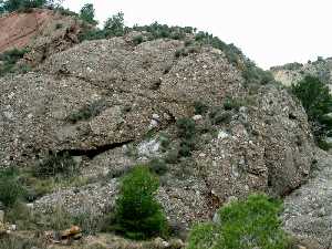 Conglomerado del Mioceno superior de cantos silicatados. Procede de un abanico aluvial de la Sierra de Carrascoy (Murcia) 