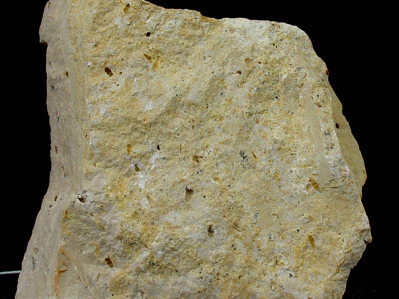 Caliza lacustre con moldes externos de hidrobias (gasterpodos), del Terciario superior de Moratalla [Rocas]. Antonio del Ramo