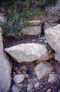 Los suelos menos desarrollados del litoral aparecen en zonas con predominio de la erosin y presencia de roca madre aflorando en superficie