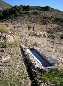 Sierra de la Almenara. Los sistemas tradicionales de aprovechamiento diversifican el paisaje, contribuyendo a la biodiversidad