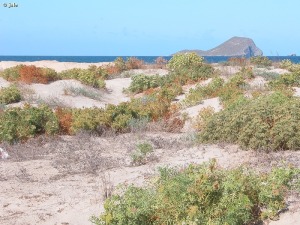 Playa Snipes (La Manga, San Javier)