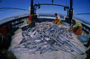 Figura 2. La pesca en el Mediterrneo se ve limitada