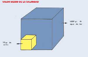Figura 1. Representacin grfica de la salinidad media del agua de mar 
