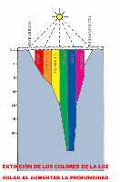 Figura 4. Los colores que componen la luz se comportan de forma diferente en relacin a la profundidad