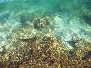 El mar en la costa cartagenera 