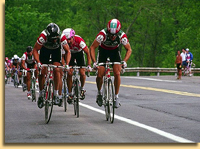 El pelotón estirado en una carrera de Ciclismo El pelotón estirado en una carrera de Ciclismo
