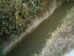 El Canal de Cerca 