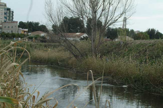 Cauce del Ro Segura en las proximidades del casco urbano de Molina de Segura. Pedro Sosa. Portal Regional de Murcia
