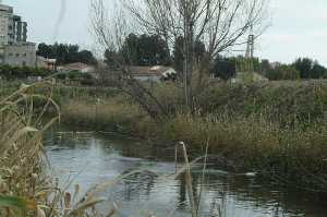 Cauce del Ro Segura en las proximidades del casco urbano de Molina de Segura