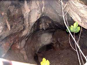 Cueva de las Cabras (Cieza) 