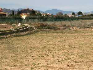 Campos de Marchena con el castillo al fondo 