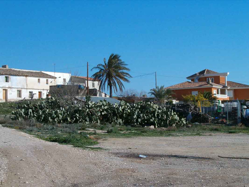 Casas, chalets y paleras [Molina de Segura_El Fenazar]. 