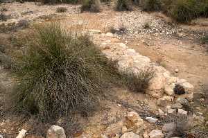Yacimiento arqueolgico en La Paca (Lorca) 
