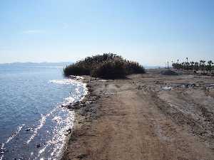 Playa de la Hita en Los Narejos (Los Alczares) 