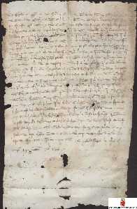 Carta abierta de Fernando IV, a don Juan Osorez, adelantado de Murcia, notificndole la franqueza de la ciudad...[Proyecto Carmes]