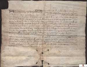 Carta de Alfonso X al concejo de Murcia incorporando a su trmino los lugares de Molina Seca...[Proyecto Carmes]