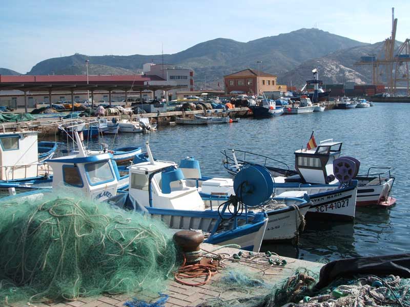 Puerto pesquero de Santa Luca [Cartagena_Santa Luca]. 