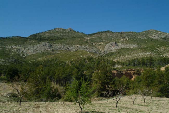 Sierra del Cerezo. Regin de Murcia Digital