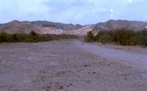 Rambla de Vilerda cercana a Cabezo de la Jara 