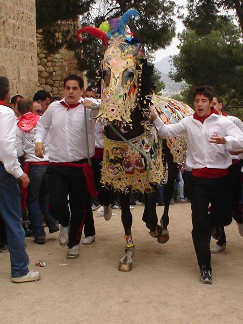 Carrera de Caballos del Vino [Fiestas de la Vera Cruz 2005]. 