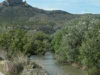 Comienzo del bosque de Galer�a