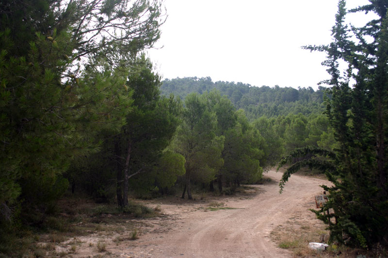 Vistas de Parque Forestal [La Almudema]. 