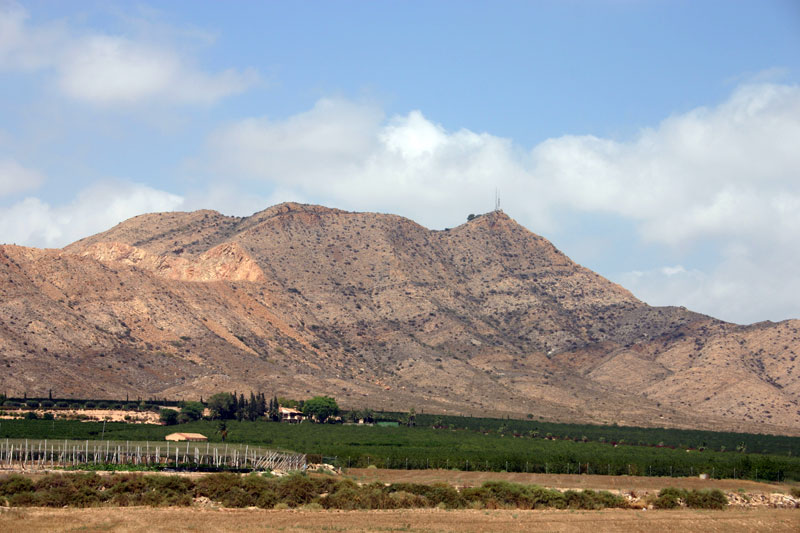 Vista del Cabezo Gordo (Torre Pacheco) [Balsicas]. 