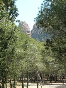 rea Recreativa de la Cresta del Gallo. P. R. El Valle y Carrascoy.