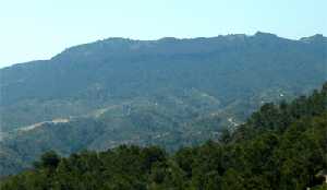 Cresteras de la Sierra de los Villares, al Sur de la Cresta del Gallo. P. R. El Valle y Carrascoy.