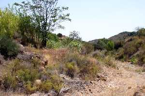 Vista de la Reserva Biolgica de los Marqueses 