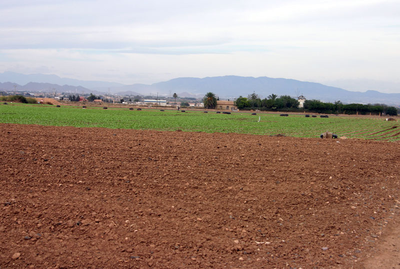 Vistas y cultivos de San Flix (Cartagena) [San Flix]. 
