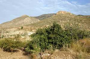 Vista del Castillo de Tirieza 