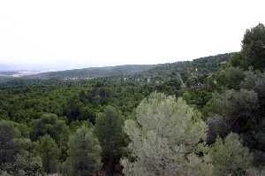 Vista de Pinada 