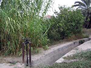 Antiguo Canal de la Acequia 