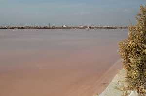 Estanque evaporaci�n