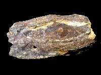 S�lex del Messiniense (Mioceno superior) de las Salinas (Molina de Segura)