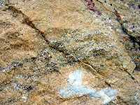 Detalle de los mrmoles del Cabezo Gordo. Obsrvese su coloracin parda por la presencia de hidrxidos y carbonatos de hierro, y la existencia de niveles ricos en mica blanca (moscovita)  