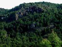 Dolomas alpujrrides del paraje de las Cuevas del Buitre (sierra de Carrascoy).   