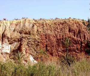 Materiales margo-yesferos trisicos (en tonos rojizos). Cabecera del ro Chcamo (Abanilla) 