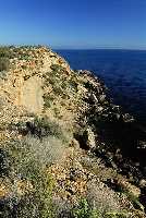 Figura 6. Costa acantilada media entre playa de la Higuerica y playa de Calarreona 