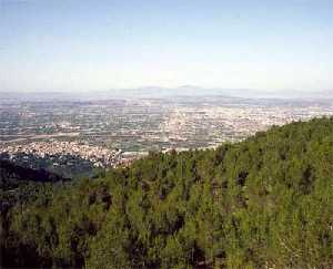 Murcia y su huerta desde El Valle