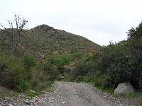 Camino en Rambla del Caar (Los Puertos) 