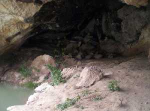 Tipos de habitat de la Cueva Antn [Mula]