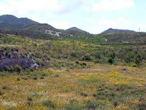 Estribaciones de la Sierra del Algarrobo desde El Saladillo